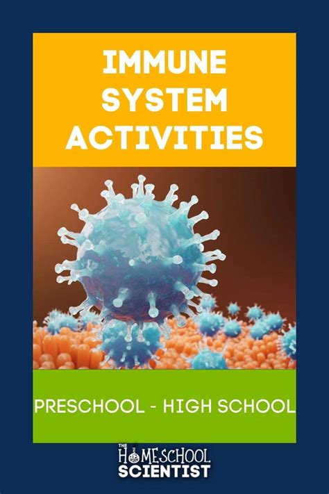 22 Immune System Activities For Kids The Homeschool Immune System Worksheet Elementary - Immune System Worksheet Elementary