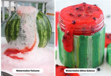 22 Juicy Watermelon Activities For The Classroom Watermelon Science Experiments - Watermelon Science Experiments