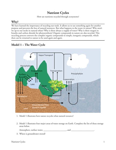 22 Nutrient Cycles S Nutrient Cycles 1 Nutrient The Nitrogen Cycle Student Worksheet Answers - The Nitrogen Cycle Student Worksheet Answers
