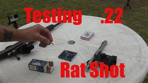 22 short rat shot. Set your 22 to stealth mode with CCI® Quiet-22™. It is ideal for bolt-action and single-shot 22 LR rifles, and generates 75 percent less perceived noise than standard velocity 22 LR rounds. It is perfect for areas where noise may be a problem and is ideal for introducing youth to the shooting sports. 75 percent reduction in the perceived ... 