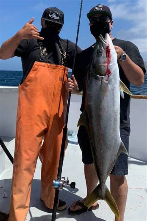 Fish Counts from 22nd Street Sportfishing Recent Pursuit Fish Counts: Date: Trip Type. Trip Details. Fish Count. Audio. 10-08-2023: Full Day Trip. 36 Anglers. 1 Bluefin Tuna, 1 Barracuda, 13 Sculpin, 6 Sheephead, 7 Calico Bass, 92 Whitefish . 10-07-2023: Full Day Trip. 35 Anglers.. 