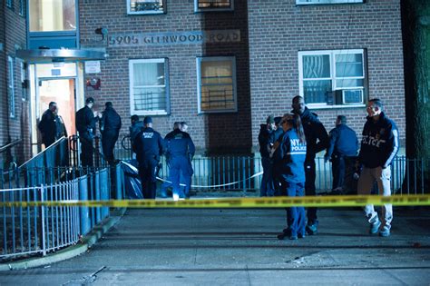 22-Year-Old Shot to Death at Glenwood Houses - Bklyner