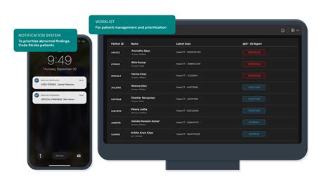 22004 Halı ve Koltuk Yıkama