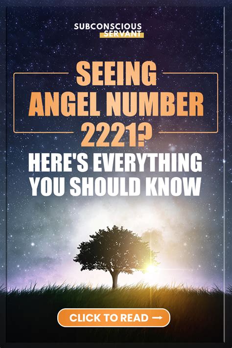 2221 Halı ve Koltuk Yıkama