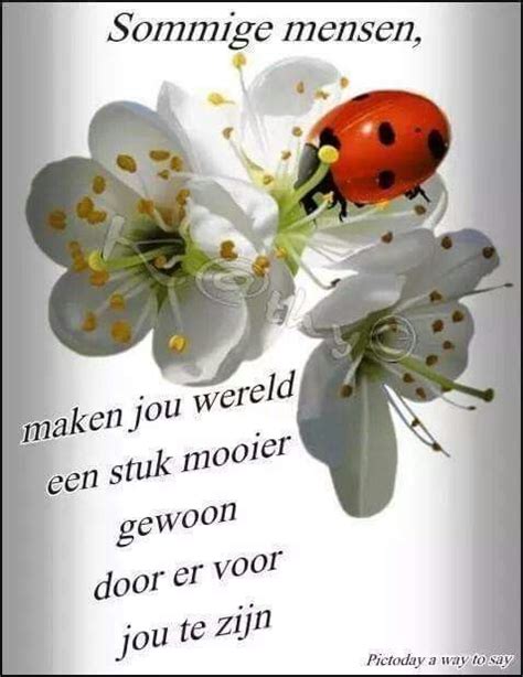 2233 best images about Prentjes on Pinterest