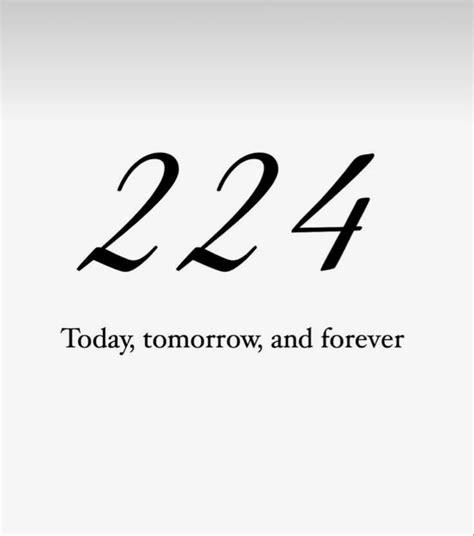 224 Halı ve Koltuk Yıkama