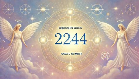 2244 Halı ve Koltuk Yıkama