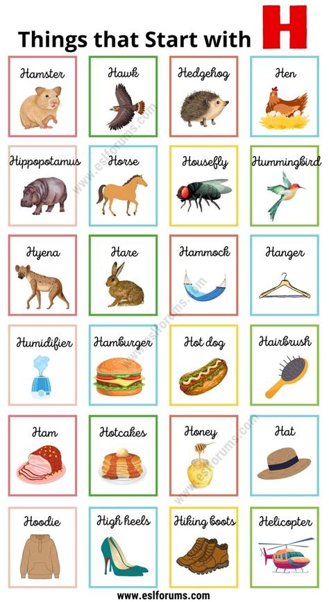 226 Nice Things That Start With H Esl Objects That Start With H - Objects That Start With H