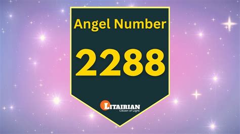 2288 Halı ve Koltuk Yıkama