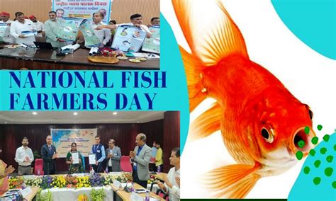 22nd National Fish Farmers Day celebrated - Press Information …