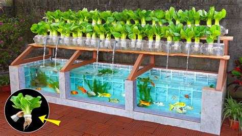 23 DIY Aquaponics Systems To Grow Vegetables & Fish Together - raincitystudios.com
