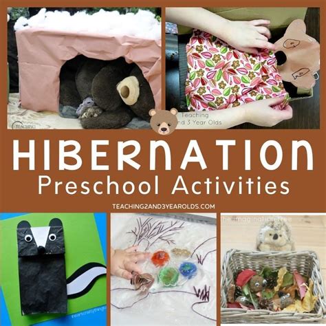 23 Fun Preschool Activities On Hibernation Ohmyclassroom Com Hibernation Science Experiments - Hibernation Science Experiments