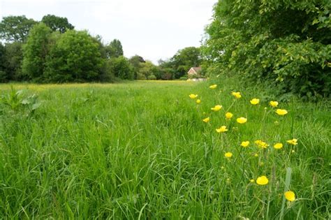 23 nature reserves in Surrey for discovering wildlife