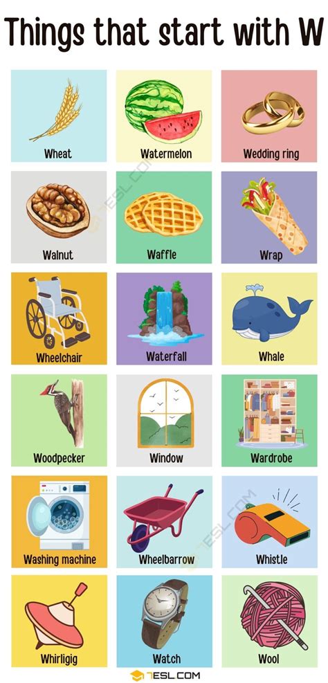 230 Things That Start With W In English Objects That Start With W - Objects That Start With W