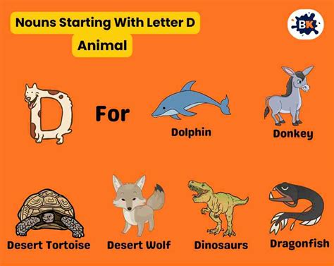 2300 Nouns That Start With D That You Nouns That Start With D - Nouns That Start With D