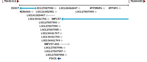 2302 - Gene ResultFOXJ1 forkhead box J1 [ (human)]