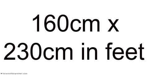 230cm To Feet