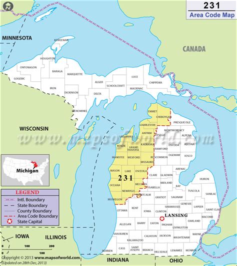 231 area code michigan