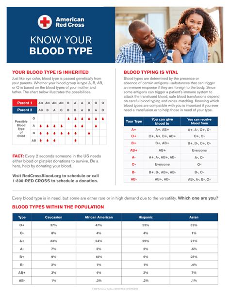 231601 Bloodtypecompatibility Flyer Ms Updated V01 Blood Types And Transfusions Worksheet - Blood Types And Transfusions Worksheet