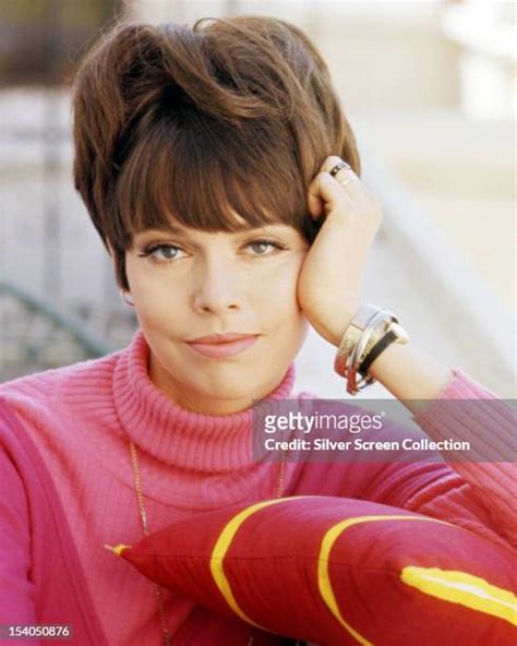 233 Barbara Feldon Pictures Premium High Res Photos