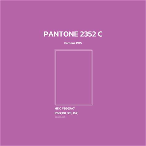 2352 Halı ve Koltuk Yıkama