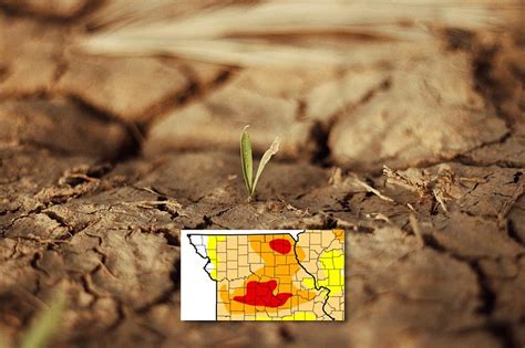24% of Missouri under 'extreme drought' conditions - Report