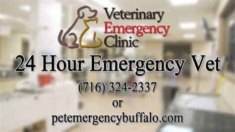 24/7 emergency pet clinic coming to San Jose