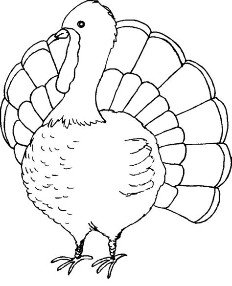 24+ Marvelous Photo of Turkey Coloring Pages Printable davemelillo