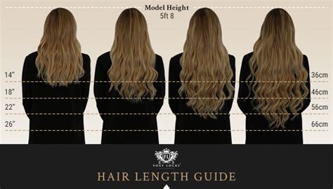 24 Clip In Extensions: The Ultimate Guide to Length and Volume