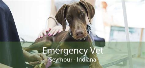 24 Hour Emergency Vet Clinics in Ingalls, Indiana