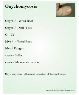 24 Onychomycosis Prefix combining vowel onycho nail Word root …