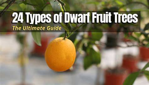 24 Types of Dwarf Fruit Trees - The Backyard Pros - raincitystudios.com