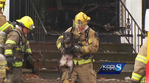 24 dogs pulled from building fire in Texas