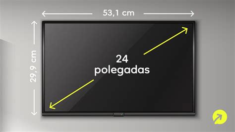 24 Polegadas Cm