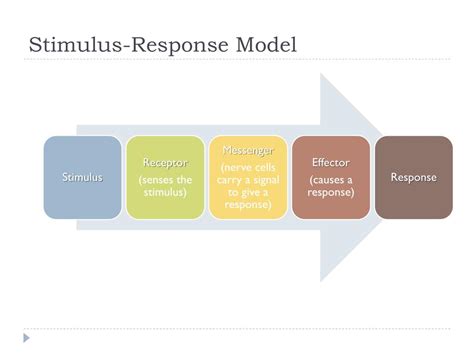 24 Top Stimulus Response Model Teaching Resources Curated Stimulus Response Worksheet Middle School - Stimulus Response Worksheet Middle School