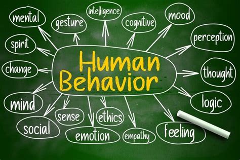 Guy's Behavior