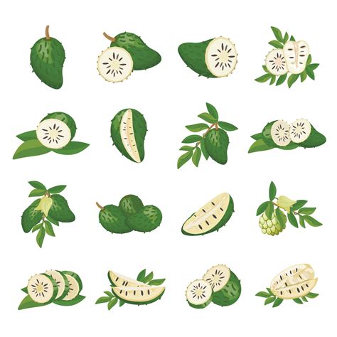 245 Guanabana Icon Stock Vectors and Vector Art | Shutterstock - raincitystudios.com