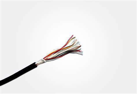 2464 Halı ve Koltuk Yıkama