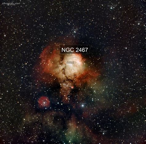 2467 Halı ve Koltuk Yıkama