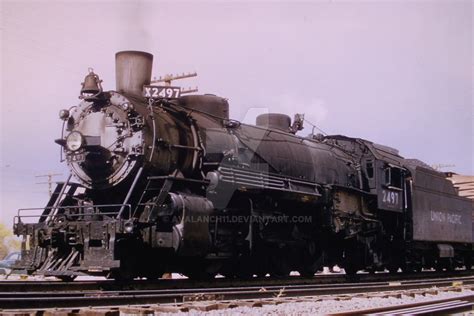 2497 Halı ve Koltuk Yıkama