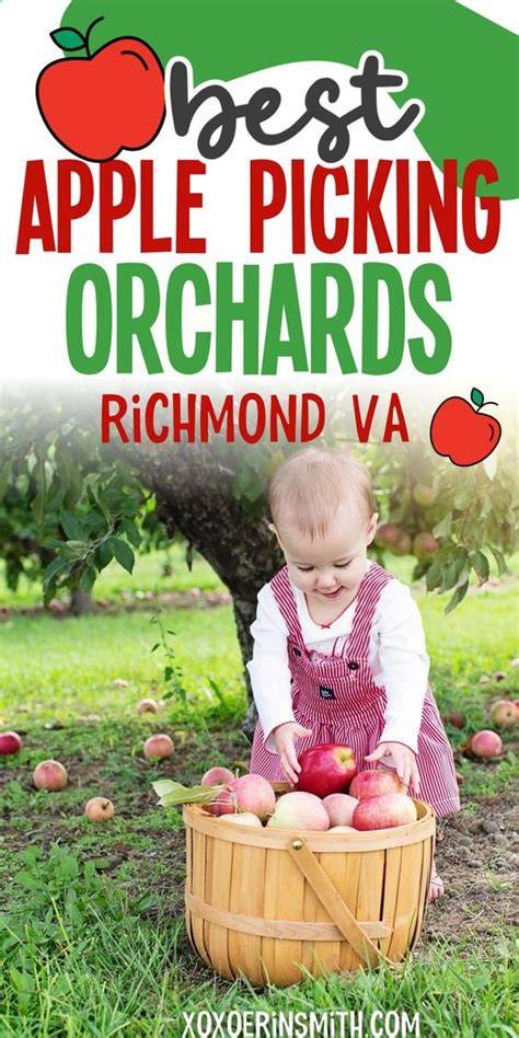 25 Best Apple Picking Orchards/Places to Visit in Virginia - raincitystudios.com