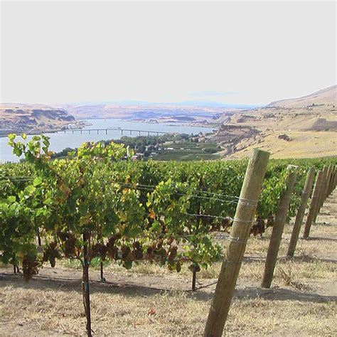 25 Best Washington Wineries - VacationIdea