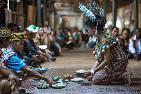 25 Facts About Campaigns Against Dayak - wintechmobiles.com