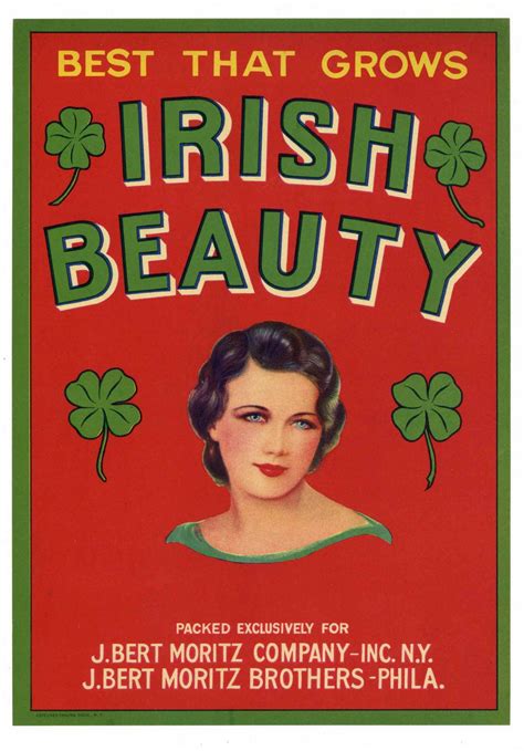 25 IRISH BEAUTY vegetable crate labels #18562453