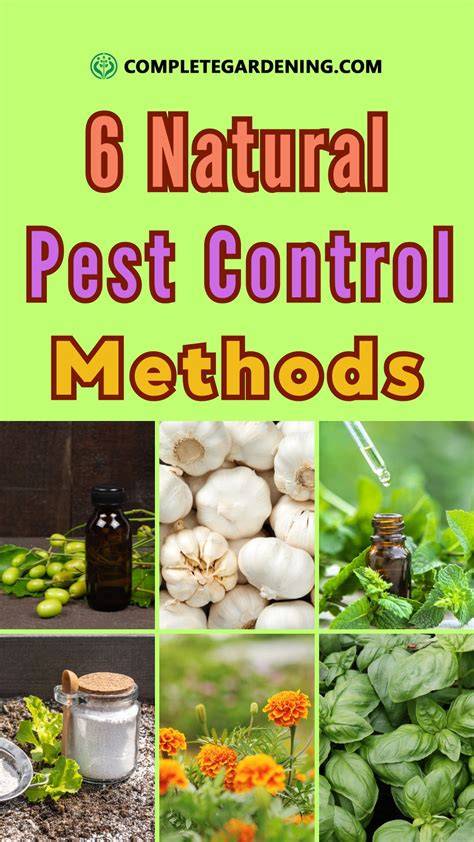 25 Organic Pest Control Methods That Really Work - raincitystudios.com