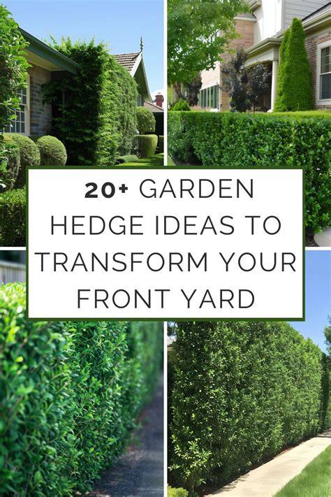 25 Stunning Garden Hedge Ideas to Transform Your Yard (Low-Maintenance ... - raincitystudios.com