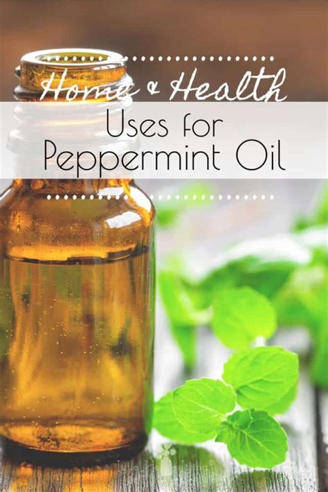 25 Uses for Peppermint Oil In and Around Your …