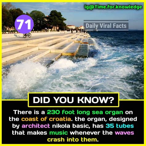 25 Amazing Facts You Didnu0027t Know About Animals Cool Science Facts About Animals - Cool Science Facts About Animals