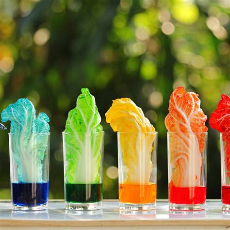 25 Amazing Science Experiments With Food Color Go Science Experiments With Food - Science Experiments With Food
