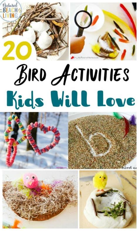 25 Bird Activities For Preschoolers Natural Beach Living Bird Science Activities For Preschoolers - Bird Science Activities For Preschoolers